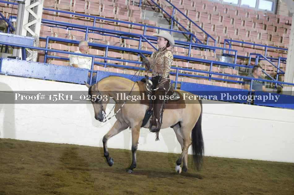 Proof 15R11_02593