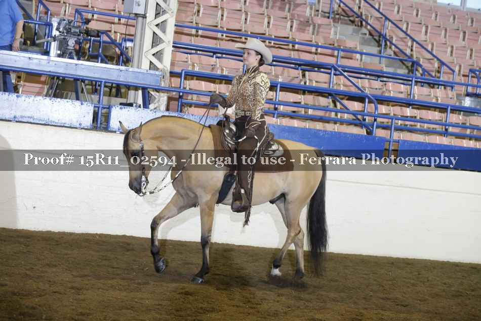 Proof 15R11_02594