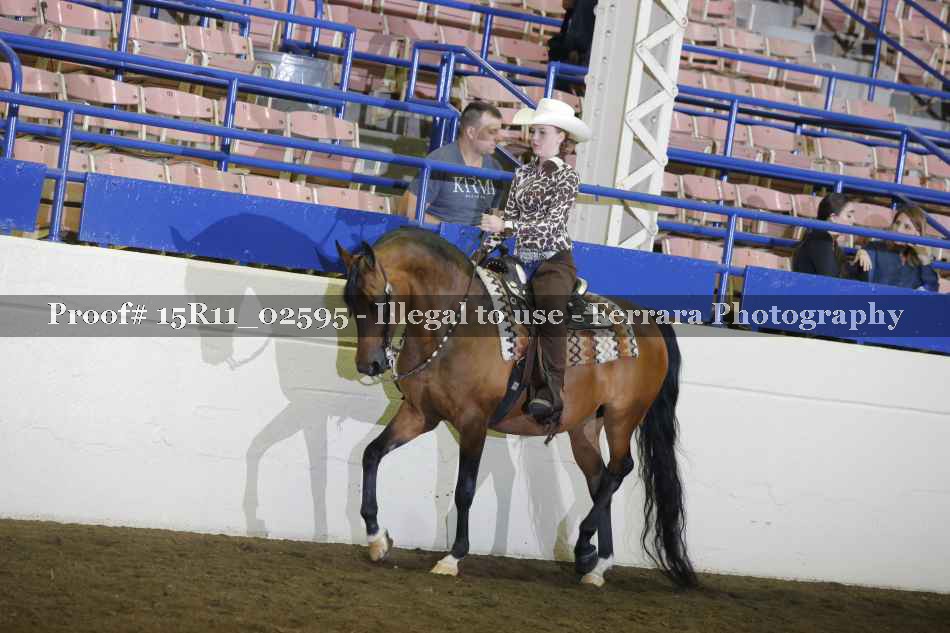 Proof 15R11_02595