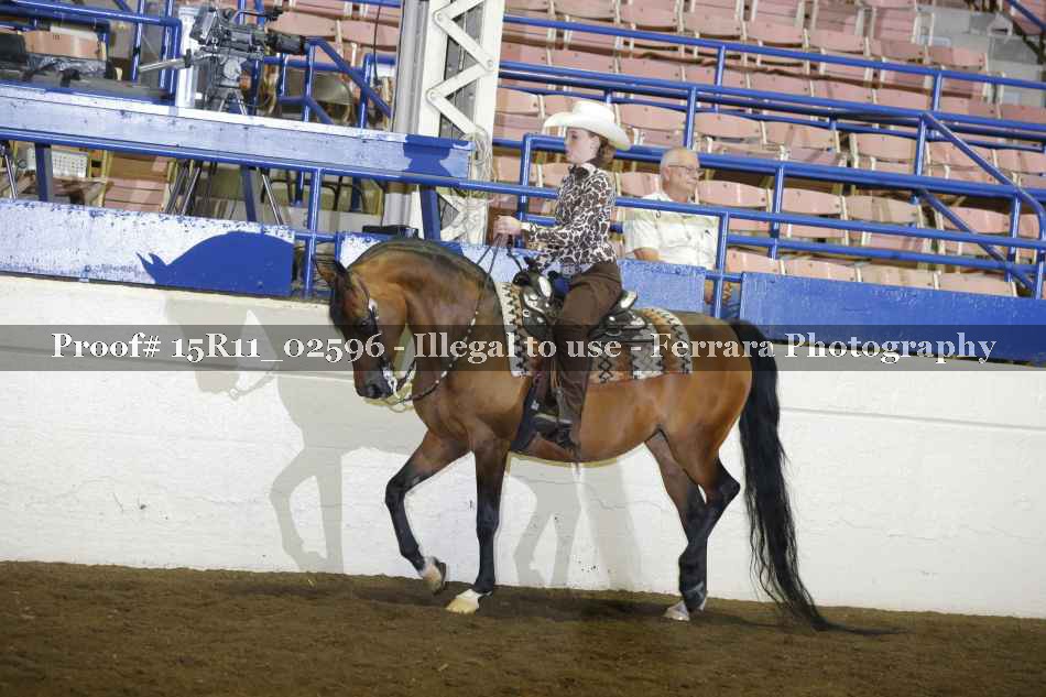 Proof 15R11_02596