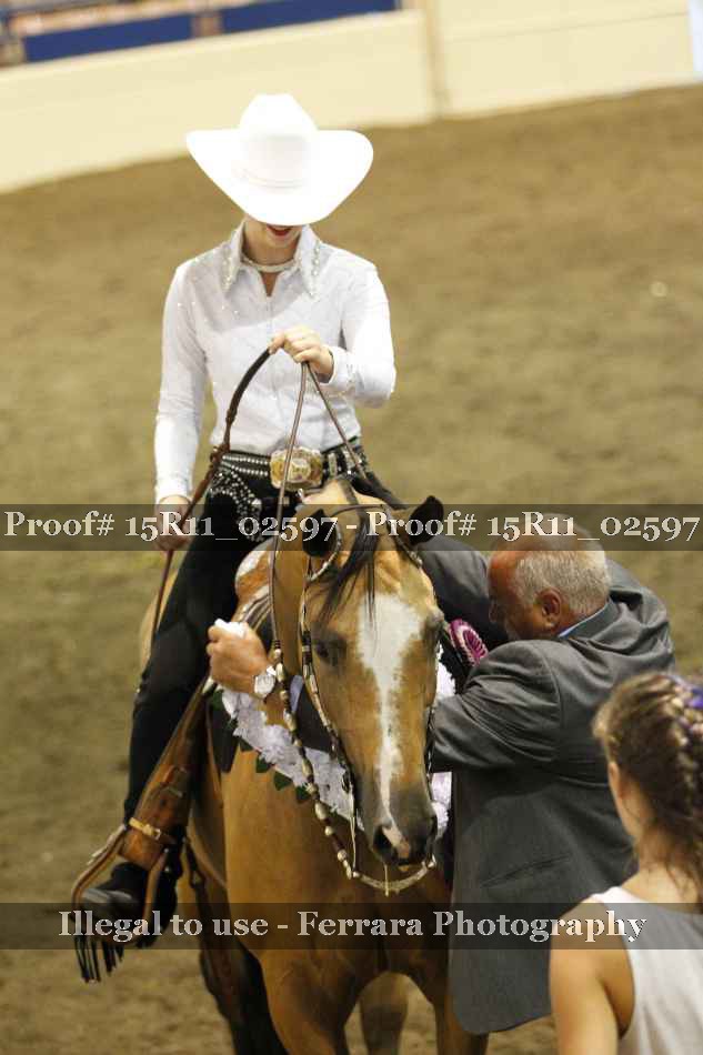 Proof 15R11_02597