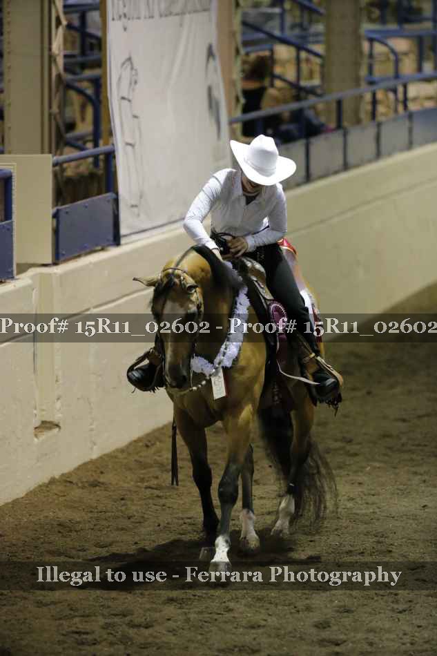Proof 15R11_02602
