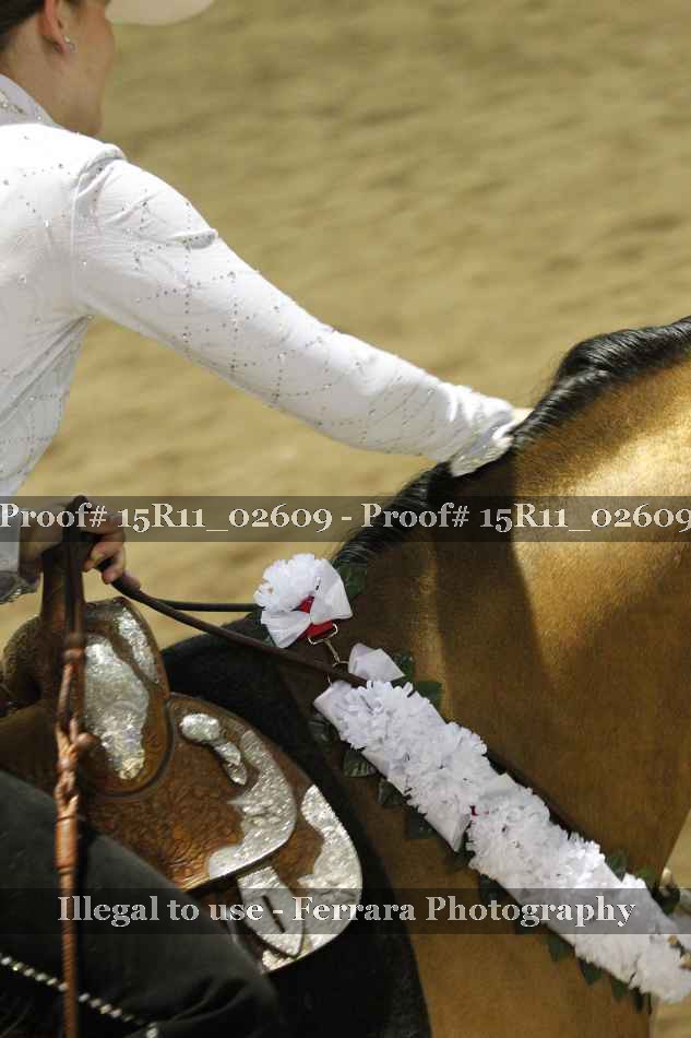 Proof 15R11_02609