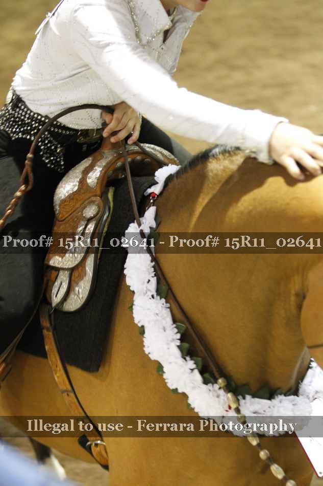 Proof 15R11_02641