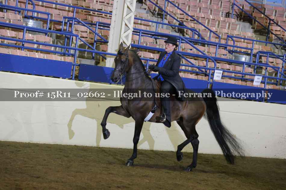 Proof 15R11_02662