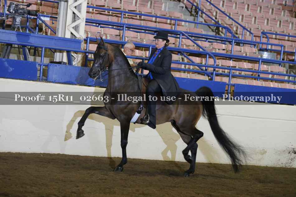 Proof 15R11_02663
