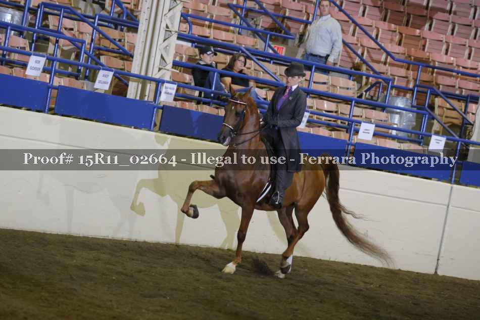 Proof 15R11_02664