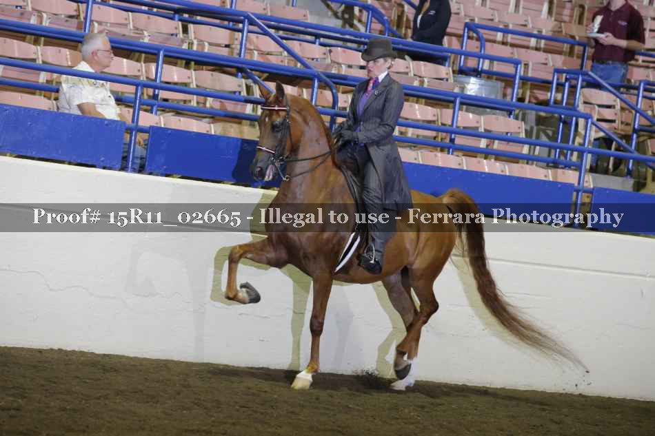 Proof 15R11_02665