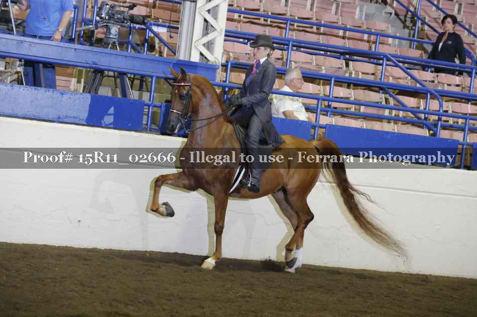 Proof 15R11_02666