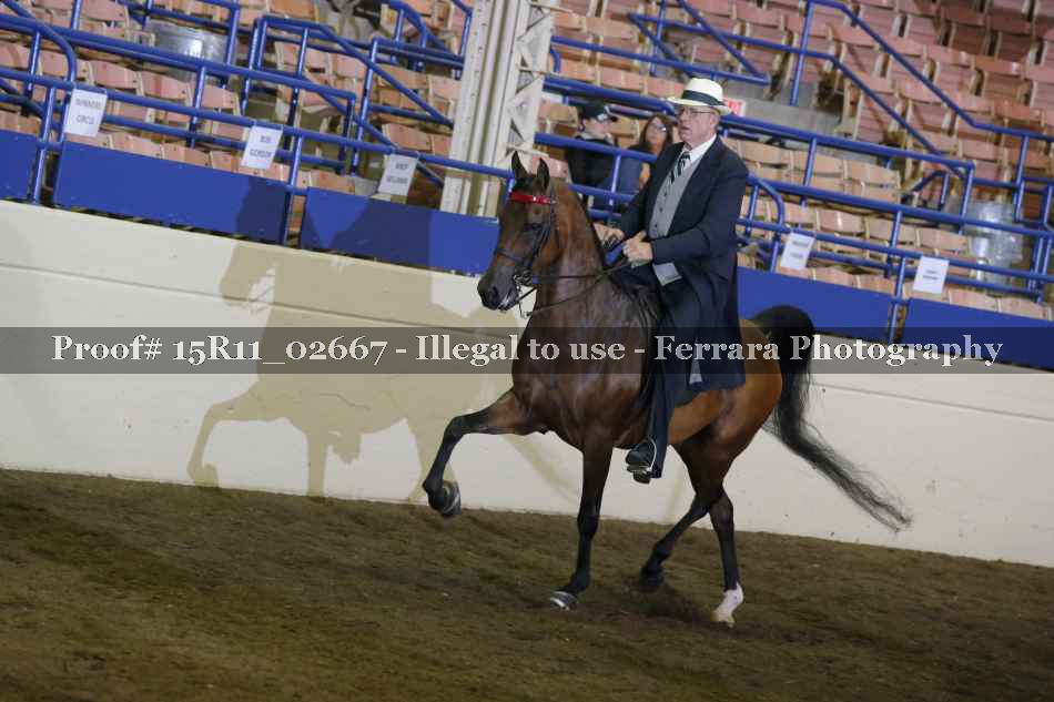 Proof 15R11_02667