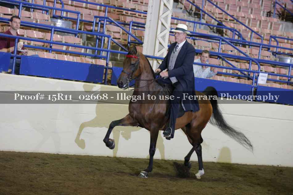 Proof 15R11_02668
