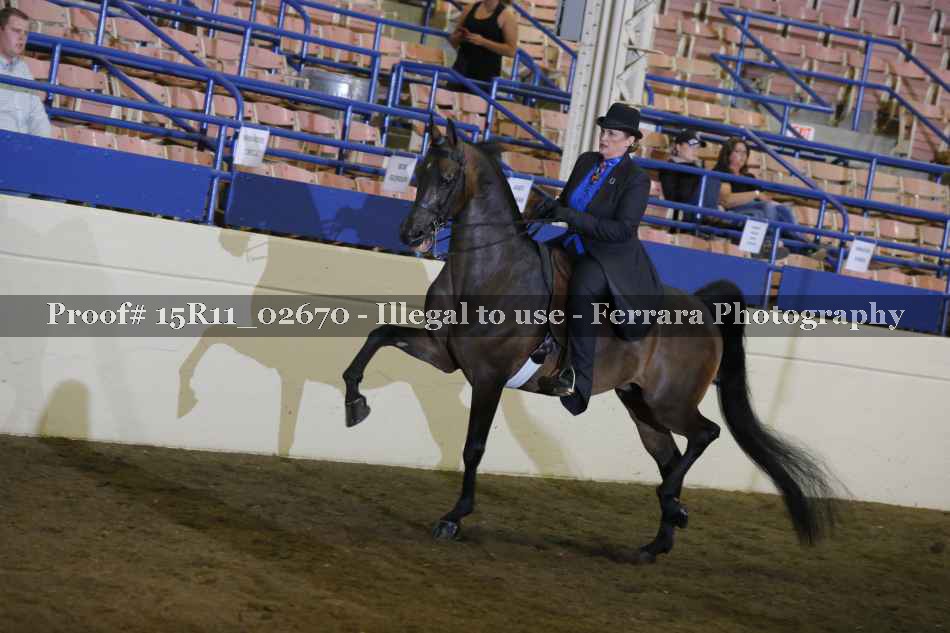 Proof 15R11_02670