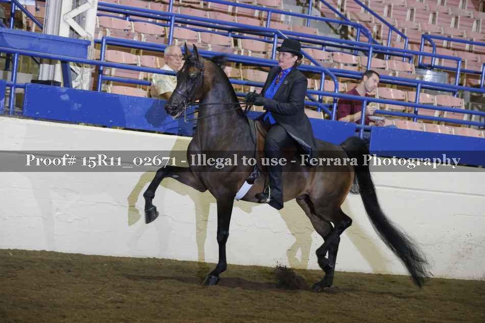 Proof 15R11_02671