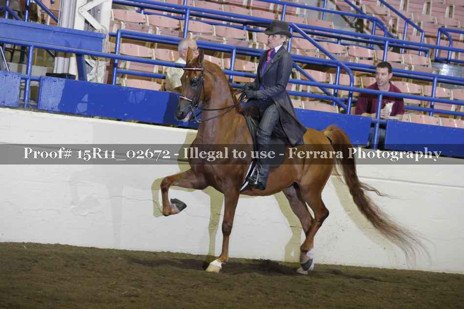 Proof 15R11_02672