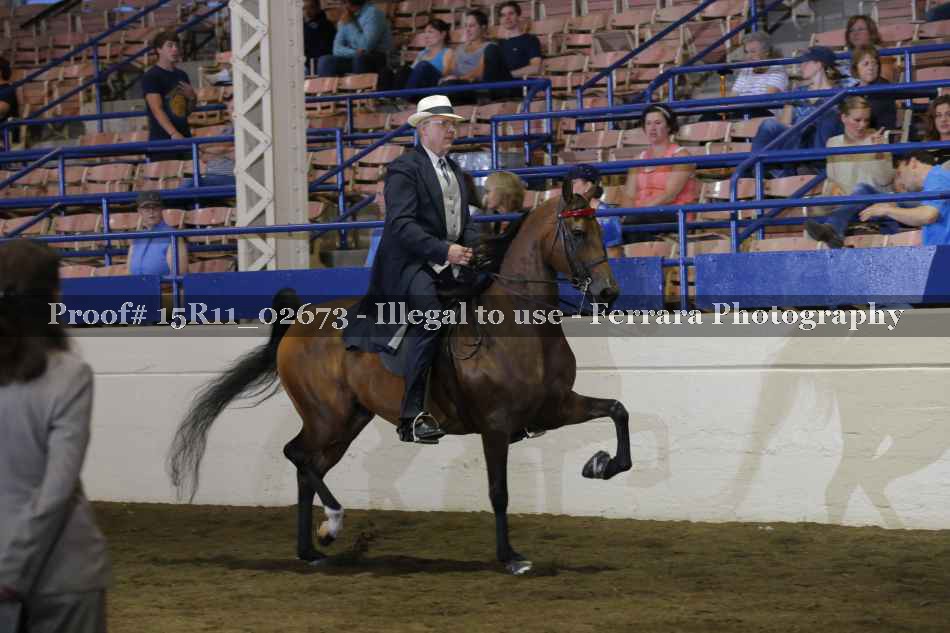 Proof 15R11_02673