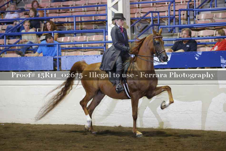 Proof 15R11_02675