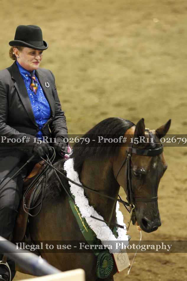 Proof 15R11_02679