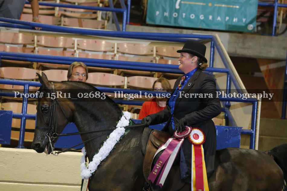 Proof 15R11_02683