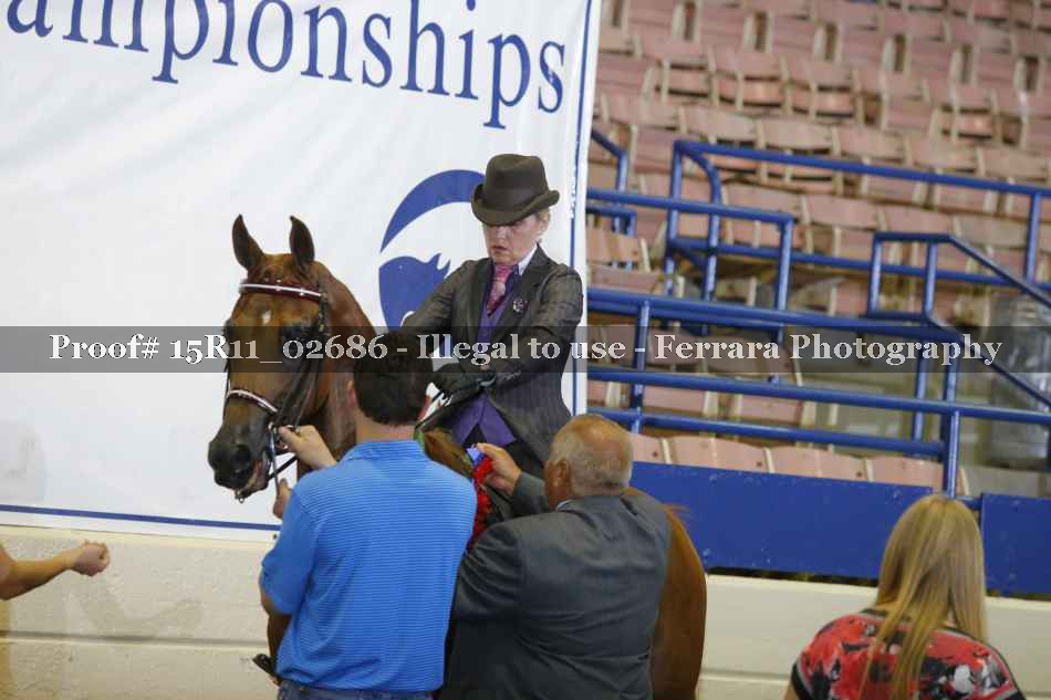 Proof 15R11_02686