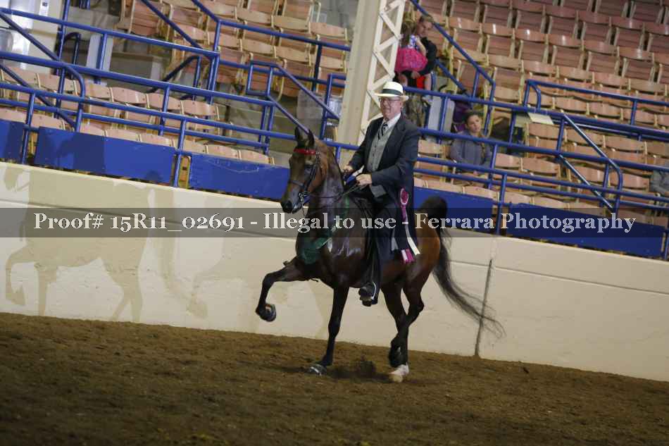 Proof 15R11_02691