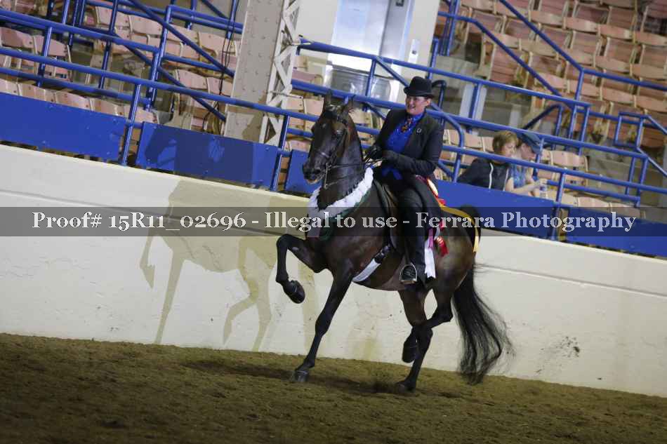 Proof 15R11_02696