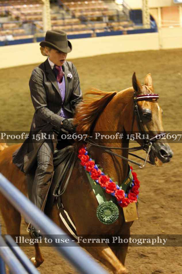 Proof 15R11_02697