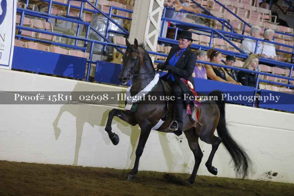 Proof 15R11_02698