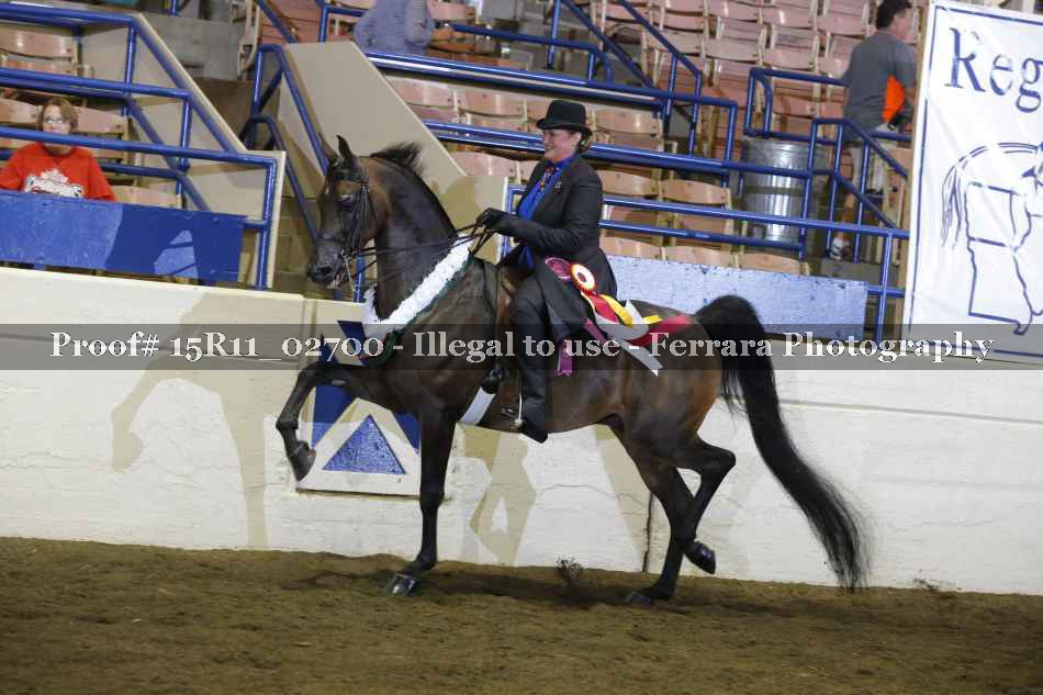 Proof 15R11_02700