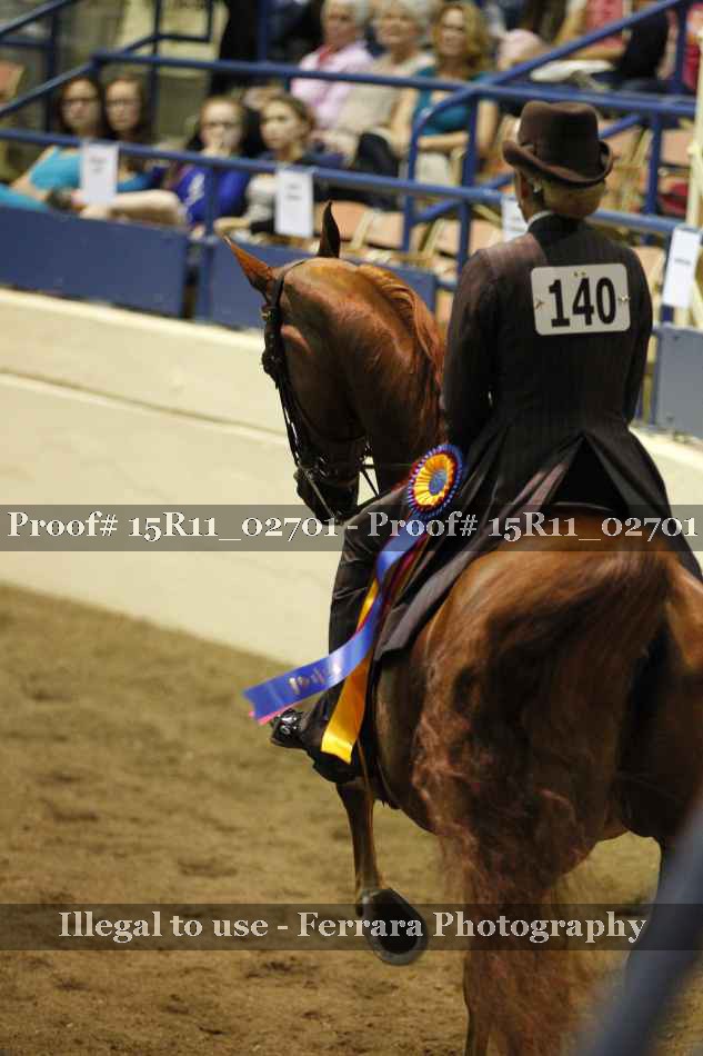 Proof 15R11_02701