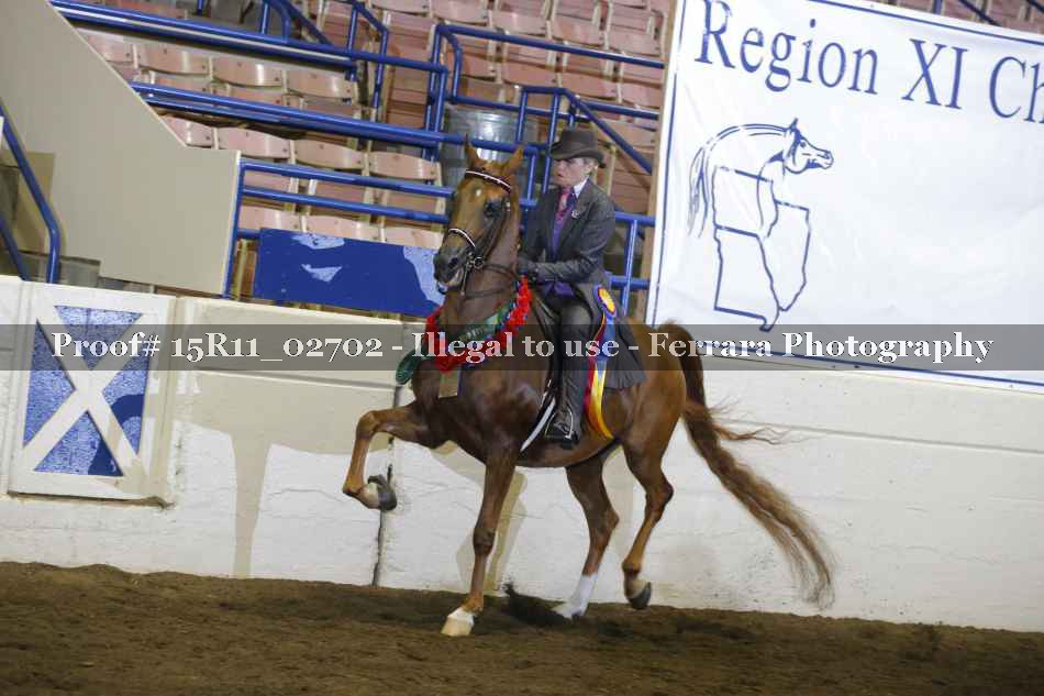 Proof 15R11_02702