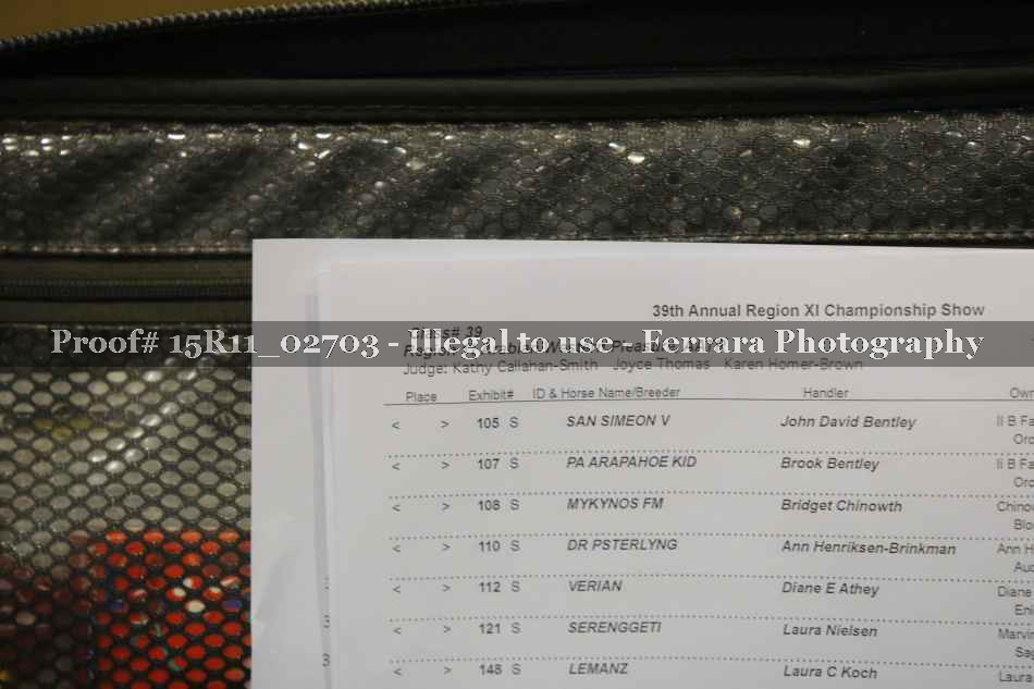Proof 15R11_02703