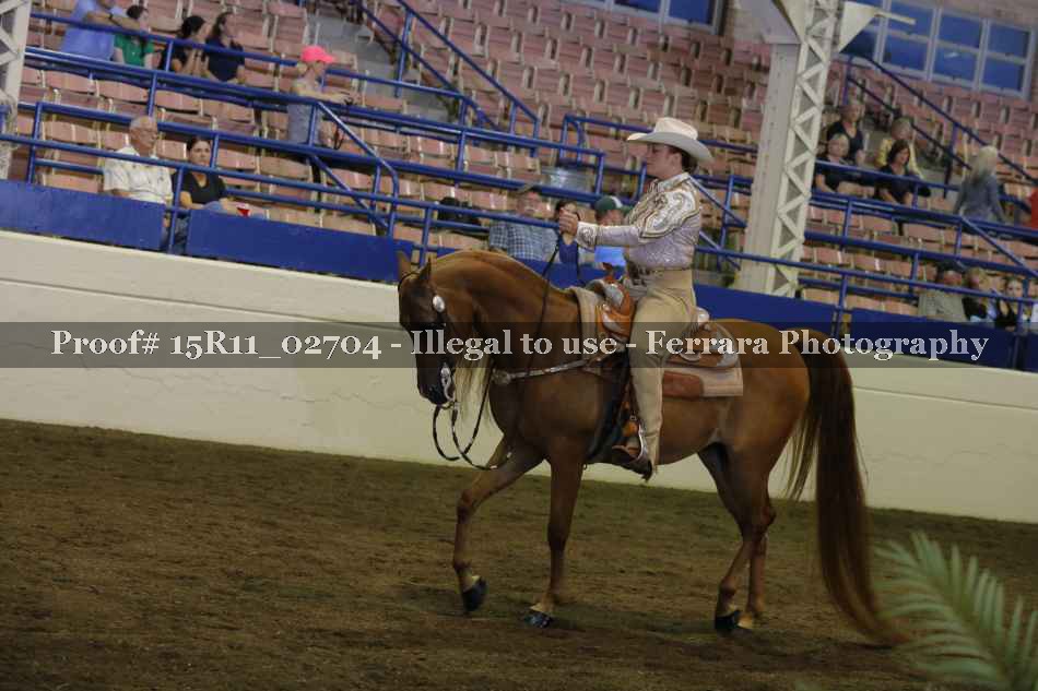 Proof 15R11_02704