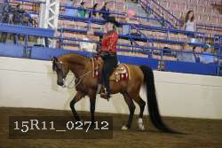 15R11_02712 proof