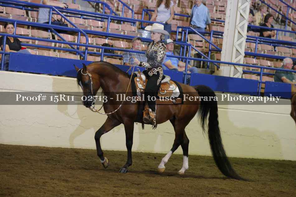 Proof 15R11_02713