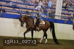 15R11_02713 proof