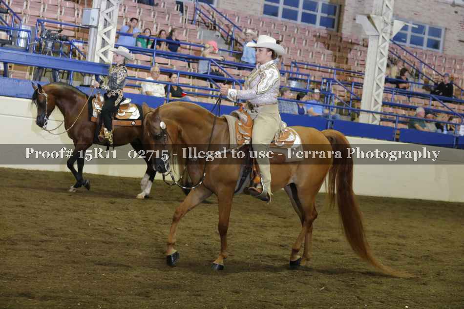 Proof 15R11_02715