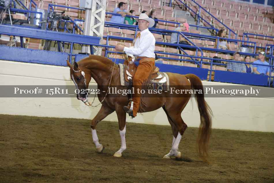 Proof 15R11_02722