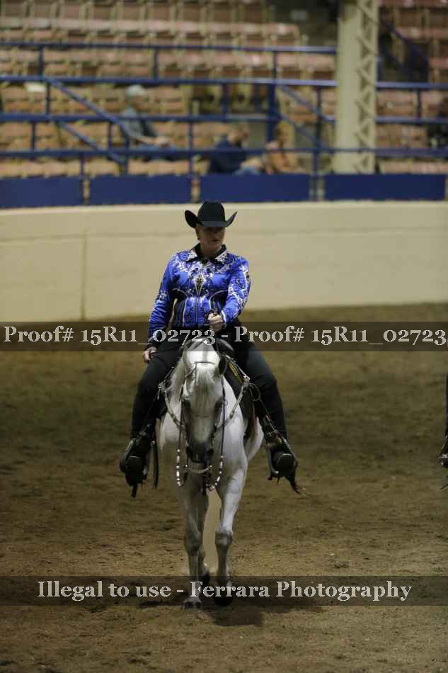 Proof 15R11_02723