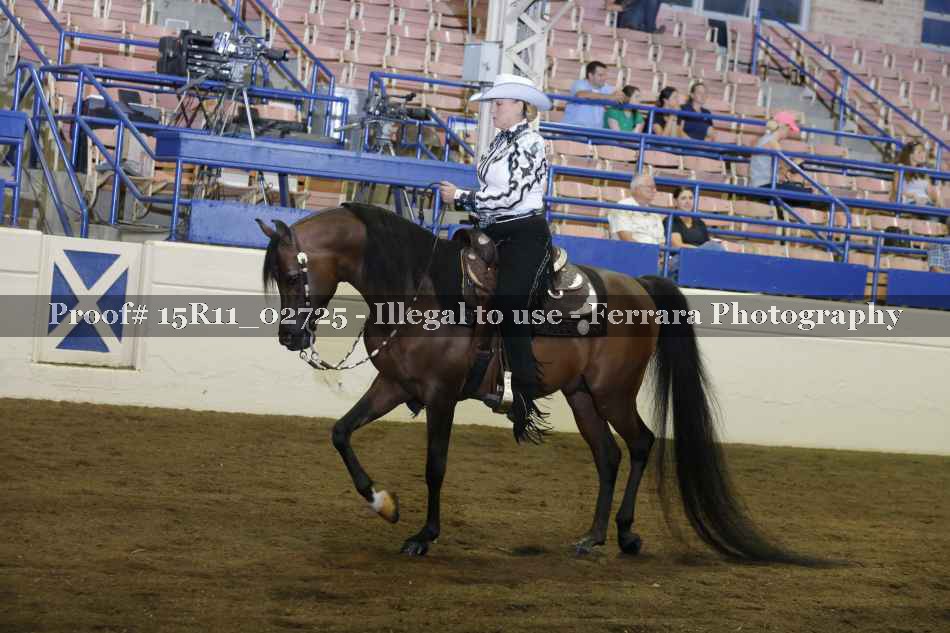 Proof 15R11_02725