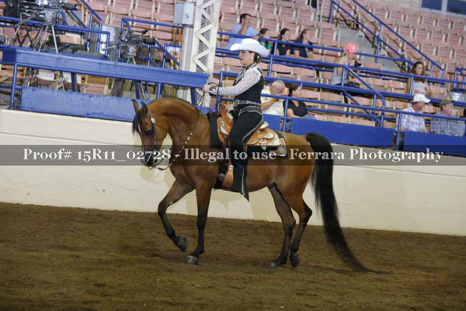 Proof 15R11_02728