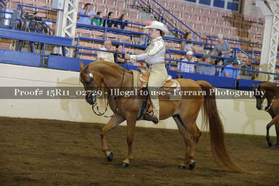Proof 15R11_02729