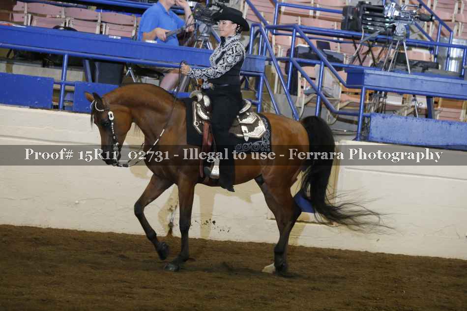 Proof 15R11_02731