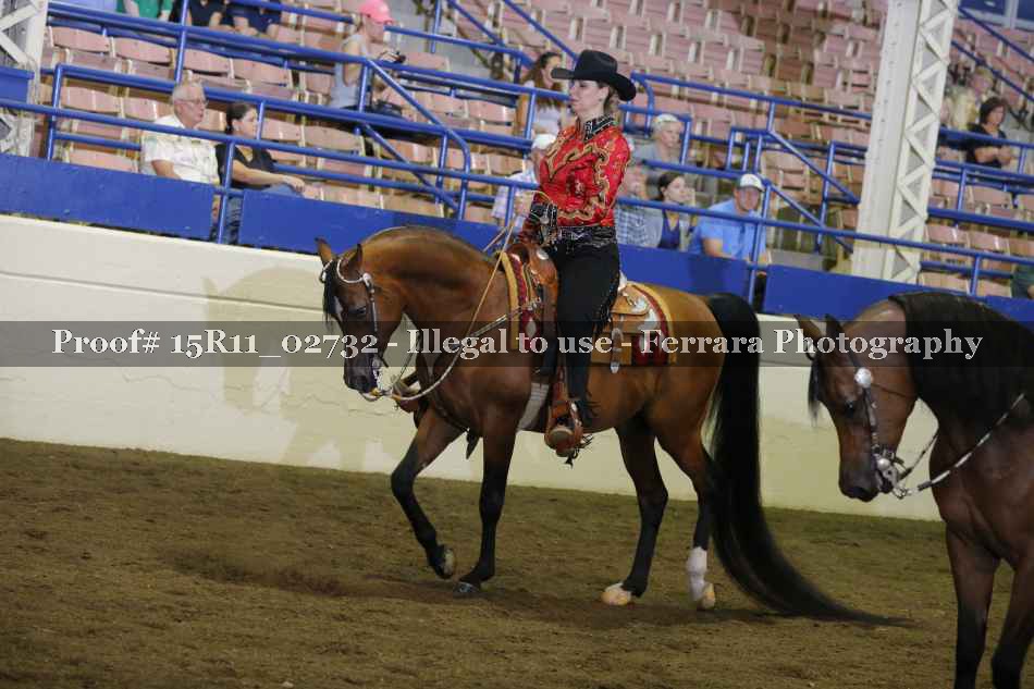 Proof 15R11_02732
