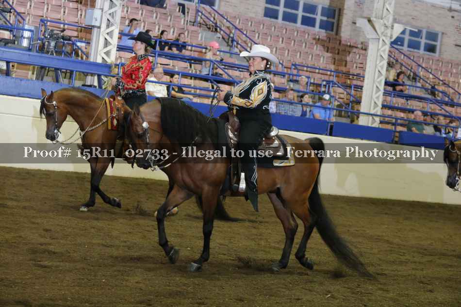 Proof 15R11_02733