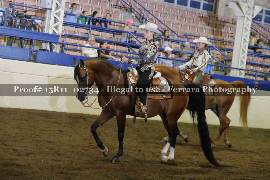 Proof 15R11_02734
