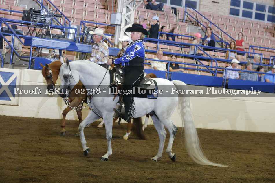 Proof 15R11_02738