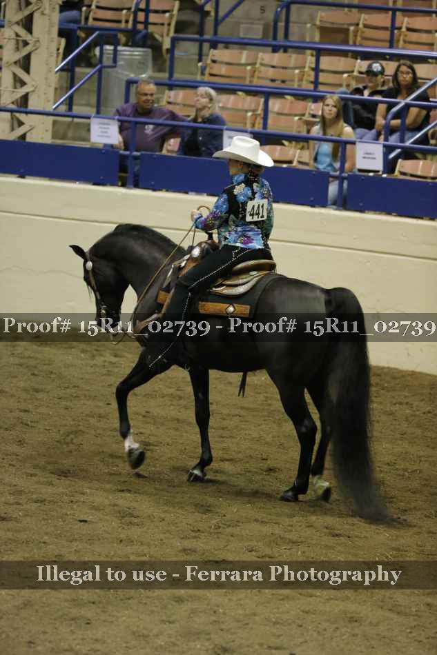 Proof 15R11_02739