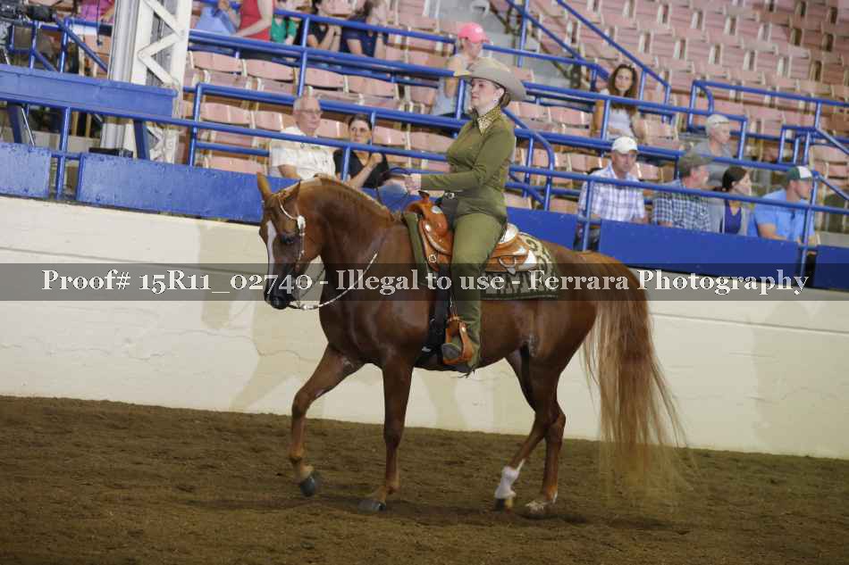 Proof 15R11_02740