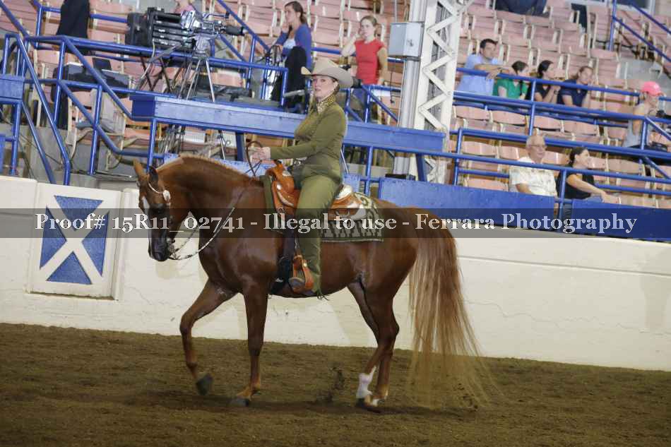 Proof 15R11_02741