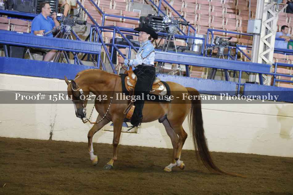 Proof 15R11_02742